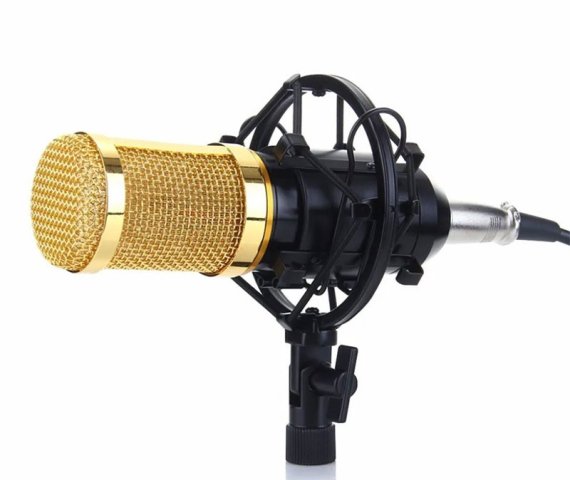 BM-800 Studio Recording Condenser Microphone Kit with Mount and Pop Filter – Set tvx9683 for Broadcasting
